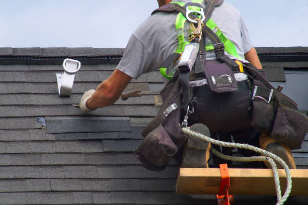 Best Roof Gutter Cleaning  in Guttenberg, NJ
